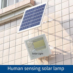 Solar Human Body Induction Lamp Courtyard Lamp Household Indoor Lamp Outdoor Waterproof Street Lamp Gate Projection Light Volt Panel Charging Sun Lamp