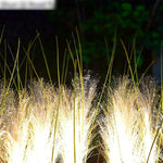 Samples LED Optical Fiber Reed Lamp Simulation Pu Reed Lamp Lawn Landscape Lamp Outdoor Courtyard Lighting Project Luminous Plant