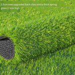 Simulation Lawn Kindergarten Outdoor Mat Plastic False Carpet Balcony Artificial Plastic False Turf Outdoor Green 2.5cm Dense Deep Three Colors